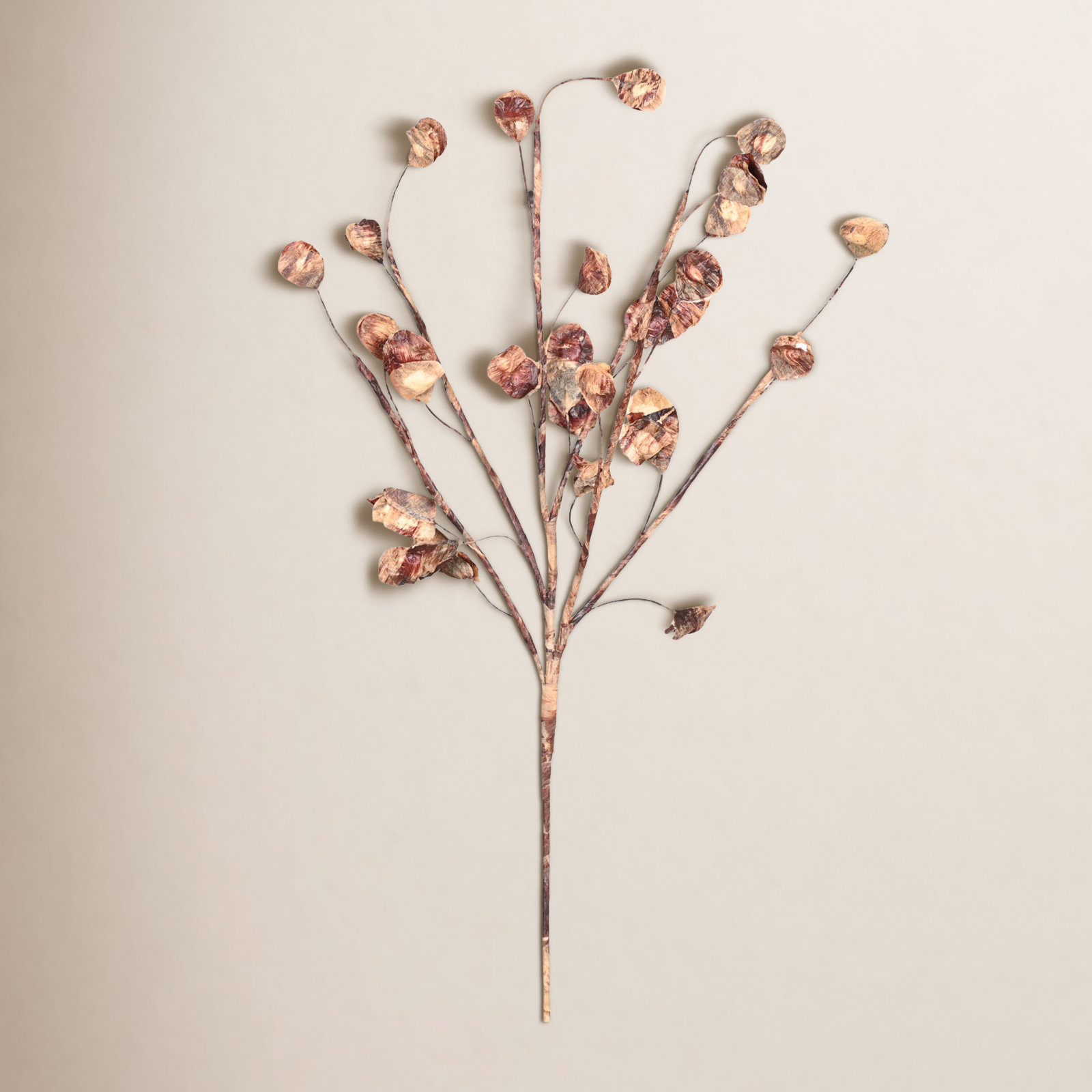 Foliage Blossom Stems, Beige