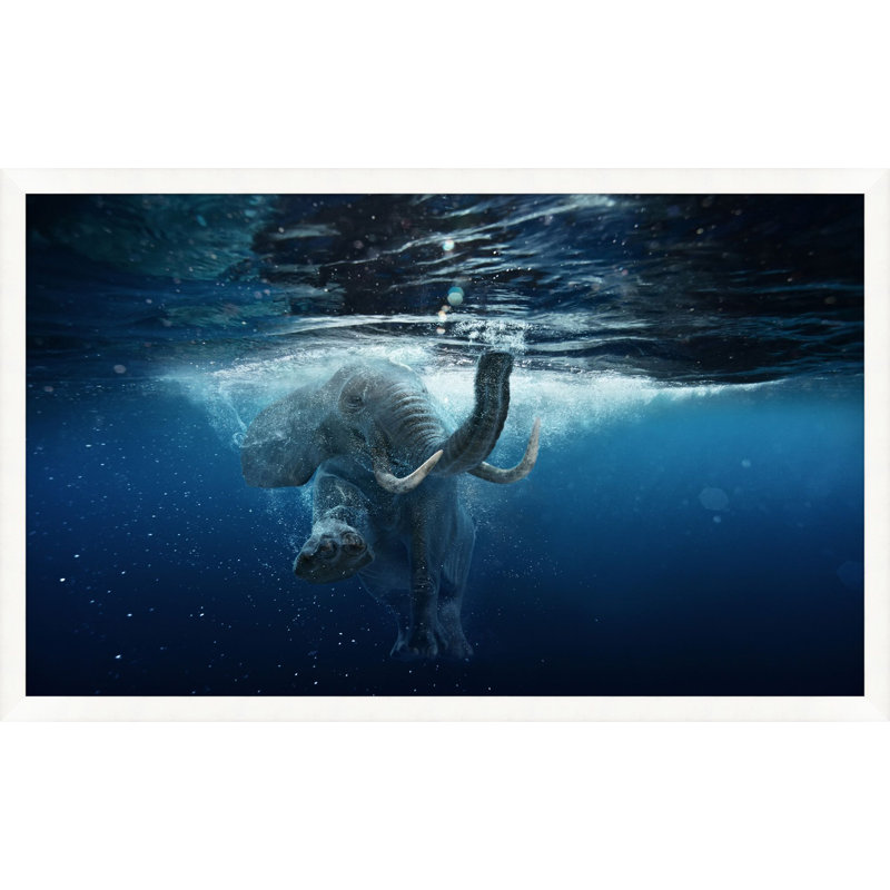 Elephant Swim 1 Framed Photographic Print