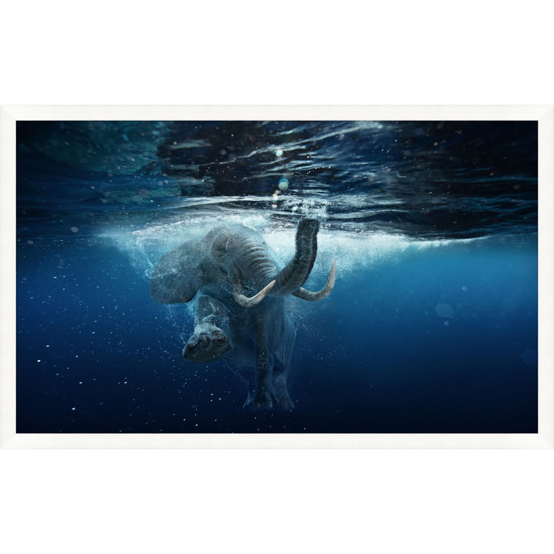 Elephant Swim 1 Print by Mat Sanders