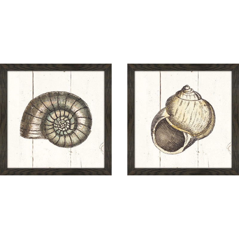 « shell sketches i shiplap », ensemble de 2 reproductions de dessins encadrées, H 16,5 po x l 33 po, Pas de tapis