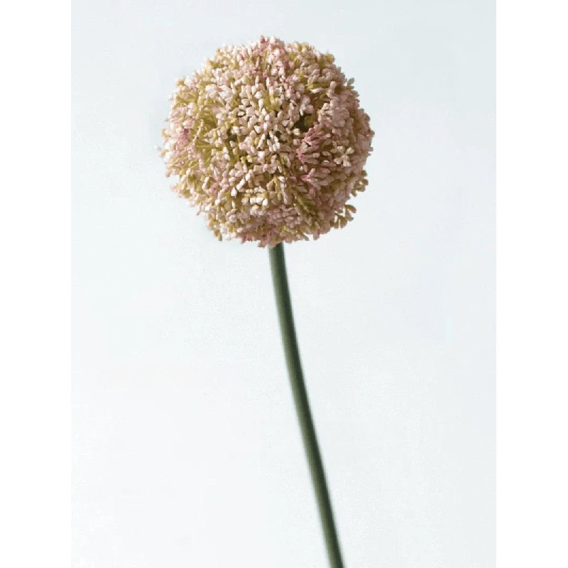 Tige sphérique Allium - 27 po, Fresh Moss Green, [D] 12 Stems