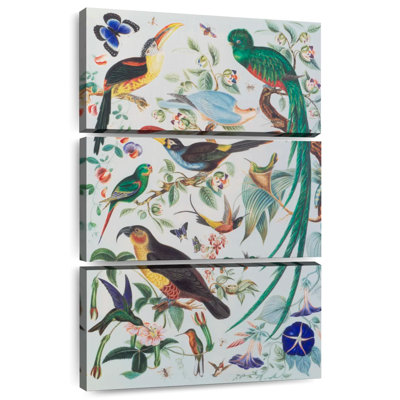 Exotic Parrots 1850