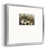 Silver Framed Paper