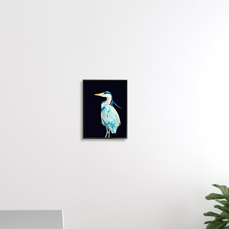 Great Blue Heron - Grand oiseau sur fond noir - impression, H 14 po x l 11 po, Giclée encadrée blanc bord de mer