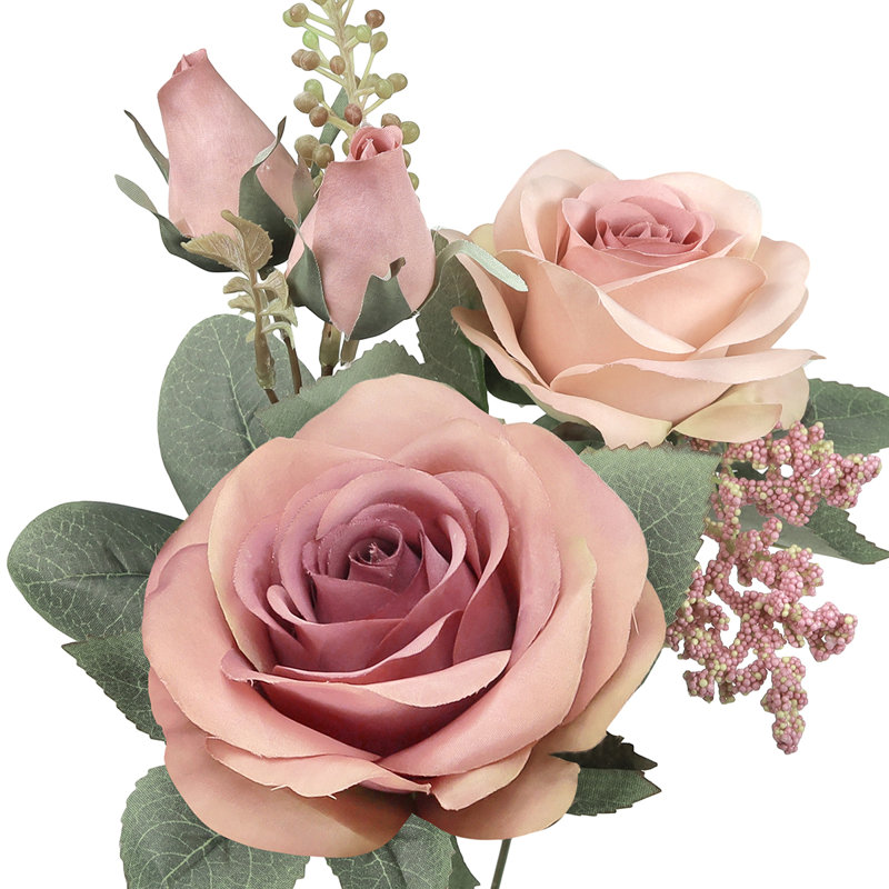 Doux rosier, Mauve poussiéreux