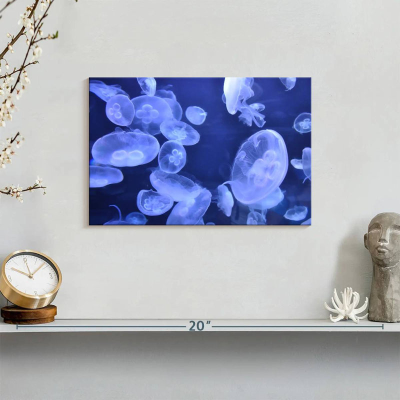 Sea Jellies, 8" H x 12" W