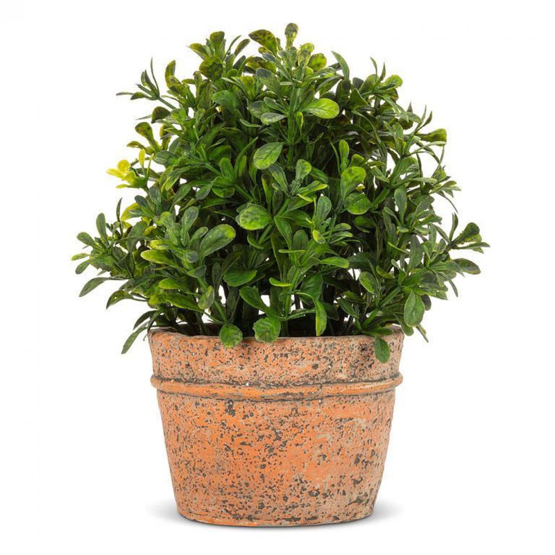 Faux buis 7 po en pot