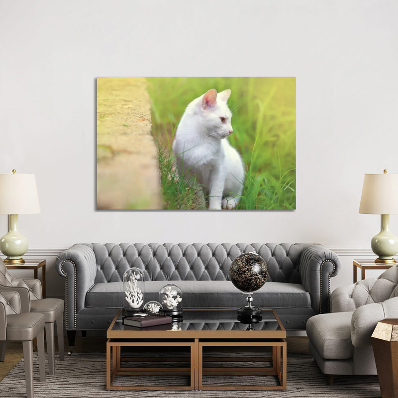 White Cat 61 by Ben Heine - Wrapped Canvas Print, 152.5 cm H x 101.5 cm W