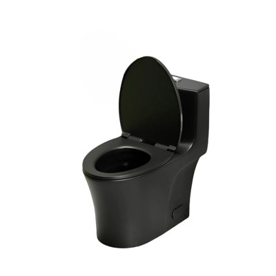 Matte Black Plastic Toilet Floor Bolt Cover Set