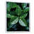 White Floater Framed