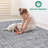 Collection 5X7 Non-Shedding Living Room Bedroom Dining Home Office Stylish And Stain Resistant Area Rug