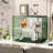 Modern 2-Tier Green & Transparent Desk Organizer Storage Rack Acrylic Adjustable Shelf