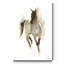 « Rustic Horse I », reproduction d’art sur toile tendue-810872345