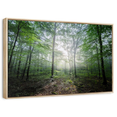 Lighting Forest II