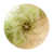 Sable olive clair