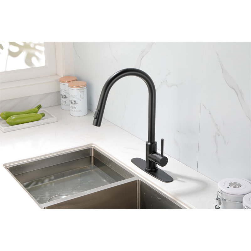 Kitchen Faucet With Pull Down Sprayer, Matt Black
