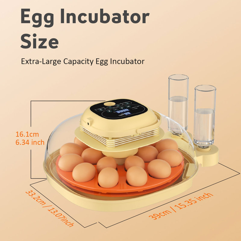 Egg Incubator