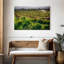 Alvord Sunrise In The Vineyard-107847607
