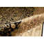 Shamas Oriental Area Rug