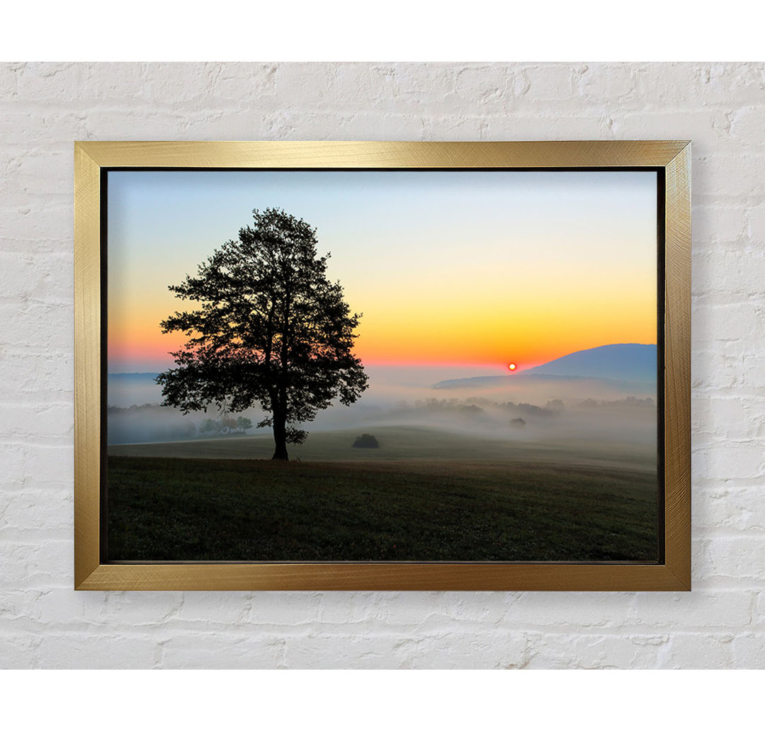 Wandbild Misty Sunrise