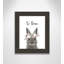 Le lapin est courage-48163492-48169697