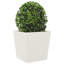 Asua Metal Planter Box-1391832527-1391832528