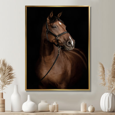 Horse Portrait - Reproduction de photographie d'animaux sur toile tendue