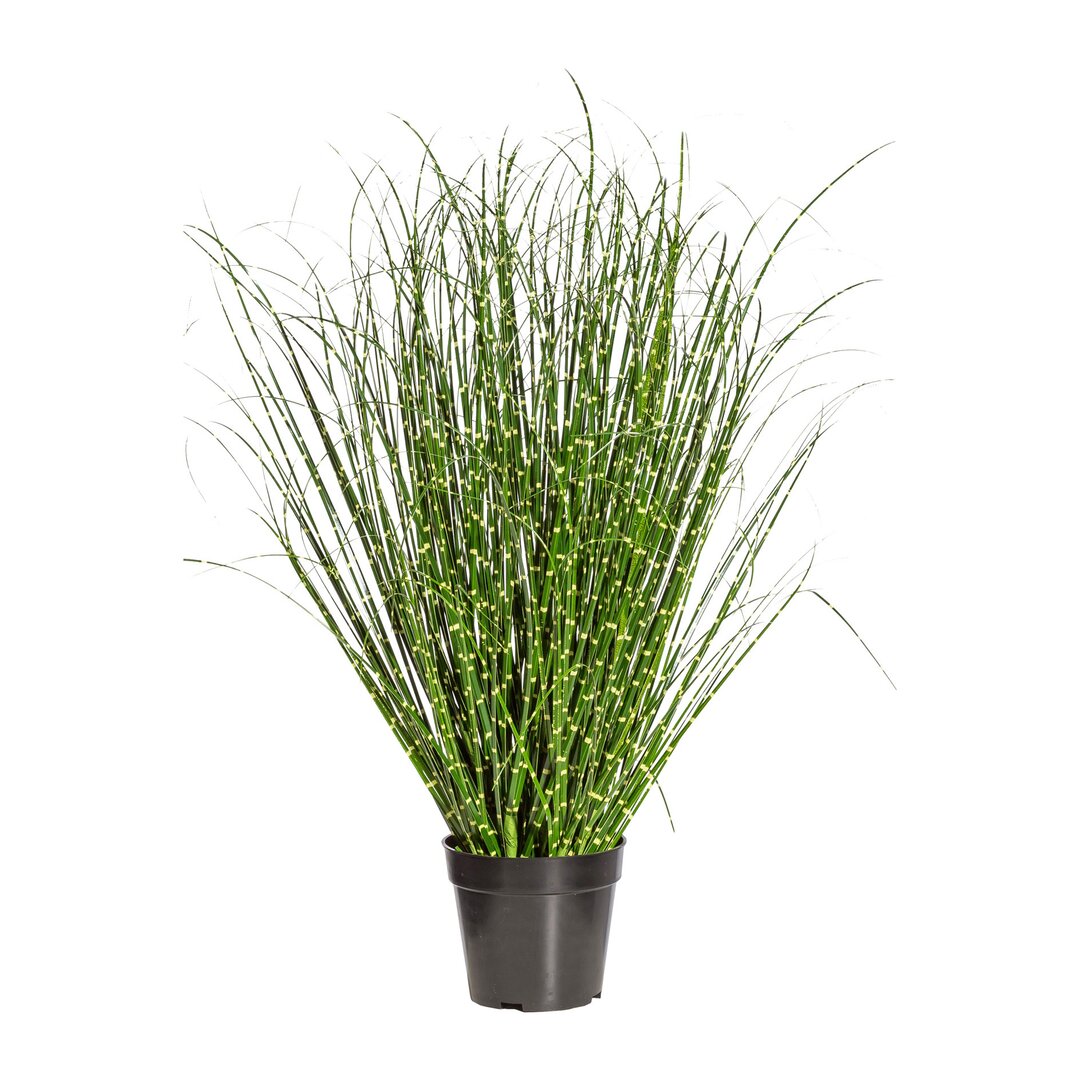 Boden-Kunstpflanze Miscanthus