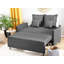 Shellplant Sofa Bed-1814678532