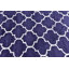 Scottsville Shaggy Navy Blue/Ivory Rug-781666596
