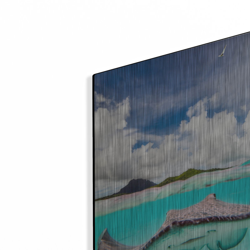 "Stingray" par Jesse Estes, H 16 po x l 12 po