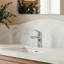 EVERSTEIN Basin Mixer Tap with Pop-Up Waste-134002585