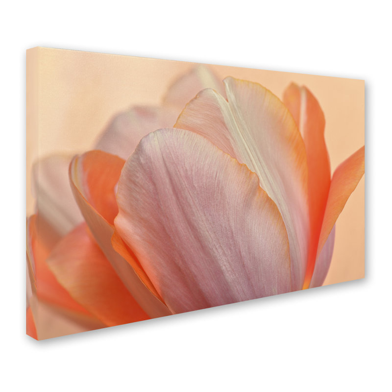 «Orange Glowing Tulip» par Cora Niele, reproduction de photo sur toile tendue, H 12 po x l 19 po x P 2 po