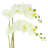 Orchid Arrangement in Fiberstone Vase