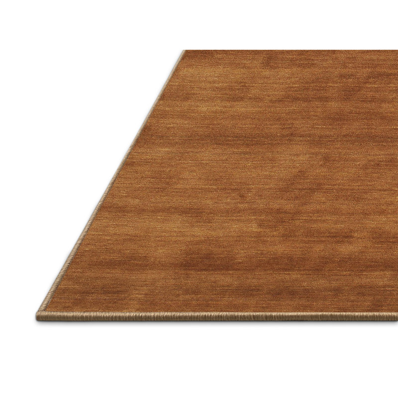 Tapis brun contemporain, Rectangle 5 pi x 8 pi