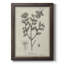 Toile encadrée botanique antique de qualité supérieure noire et blanche - prête à être accrochée-73976082