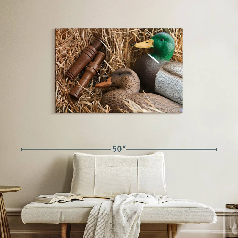 Concept de chasse au canard
