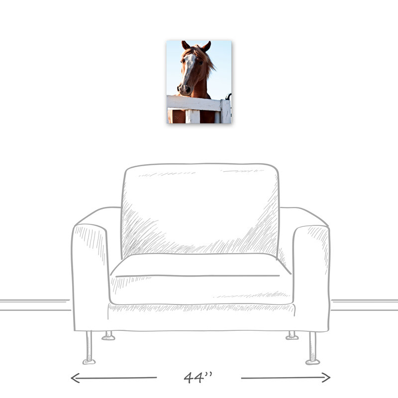 Curious Horse sur toile, H 14 po x l 11 po x P 1,25 po