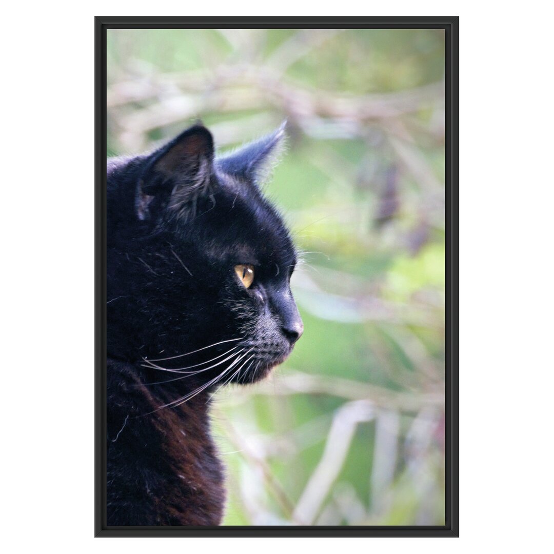 Gerahmtes Wandbild schwarze Katze