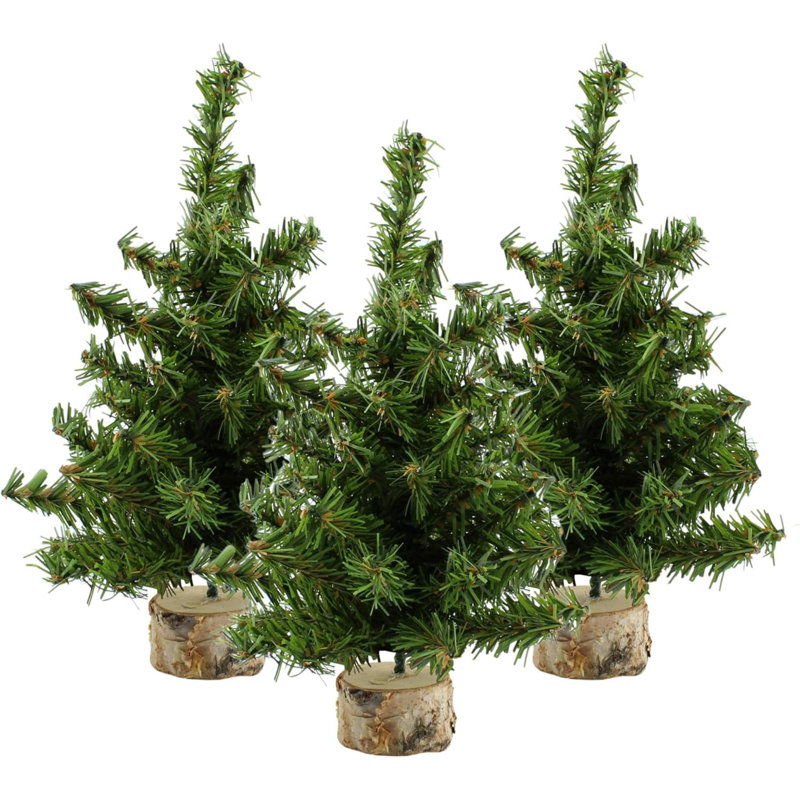 Mini arbres de Noël (paquet de 3, 10 pouces); Décoration de table Canadian Pine Greenery