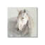 "Stupell Industries White Horse", peinture sur toile par Danhui Nai-91307393-91307394