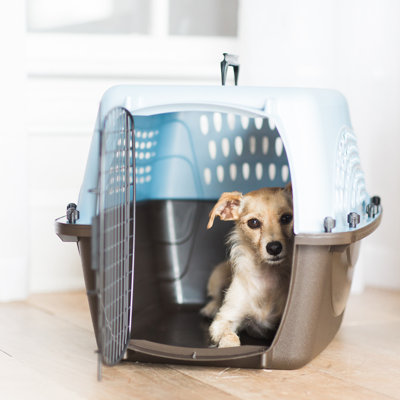 Plastic Pet Carrier with 1 Door