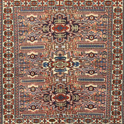 Oriental Indoor Rug