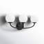 Alain 3 Light Frosted Dimmable Vanity Light-2050170125