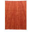 Tapis rouge rouille Ohlson