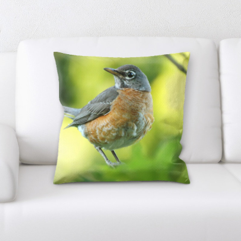 Coussin oiseau