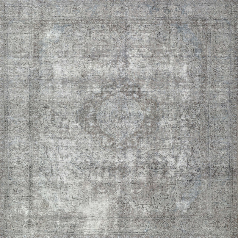 Alber Oriental Indoor Rug, Square 5'