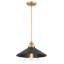 Luminaire suspendu en laiton doux à 1 lumière Dixion-535494838