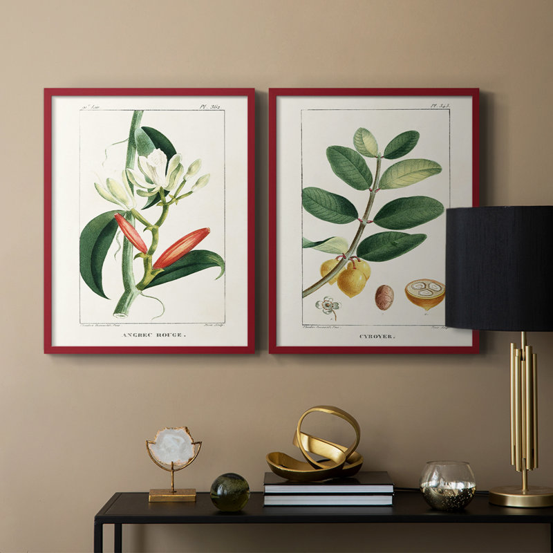 Reproduction encadrée Turpin Tropical Botanicals IX-Premium - prête à être accrochée, Rouge, H 15 po x l 24 po