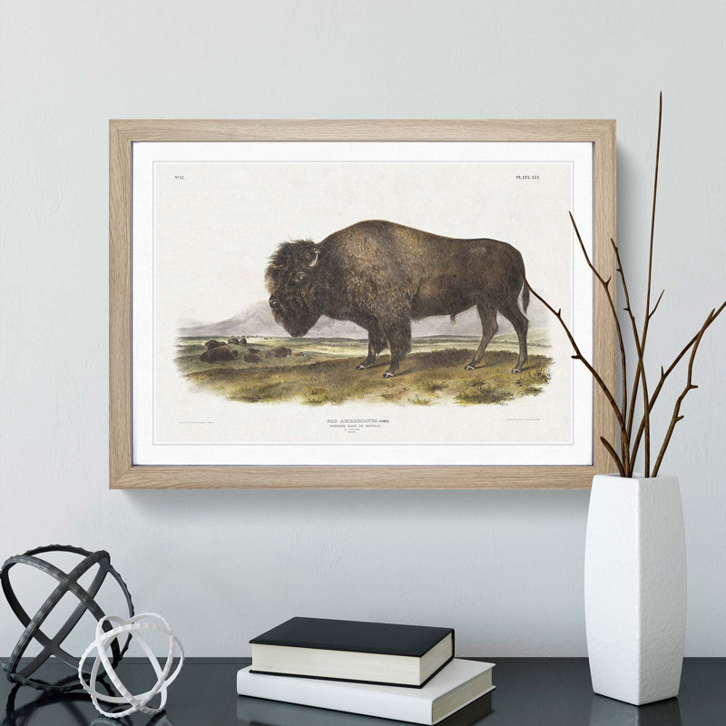 An American Bison by J.W. Audubon - Single Picture Frame Painting, 24cm H x 33cm W x 2cm D, Oak Framed